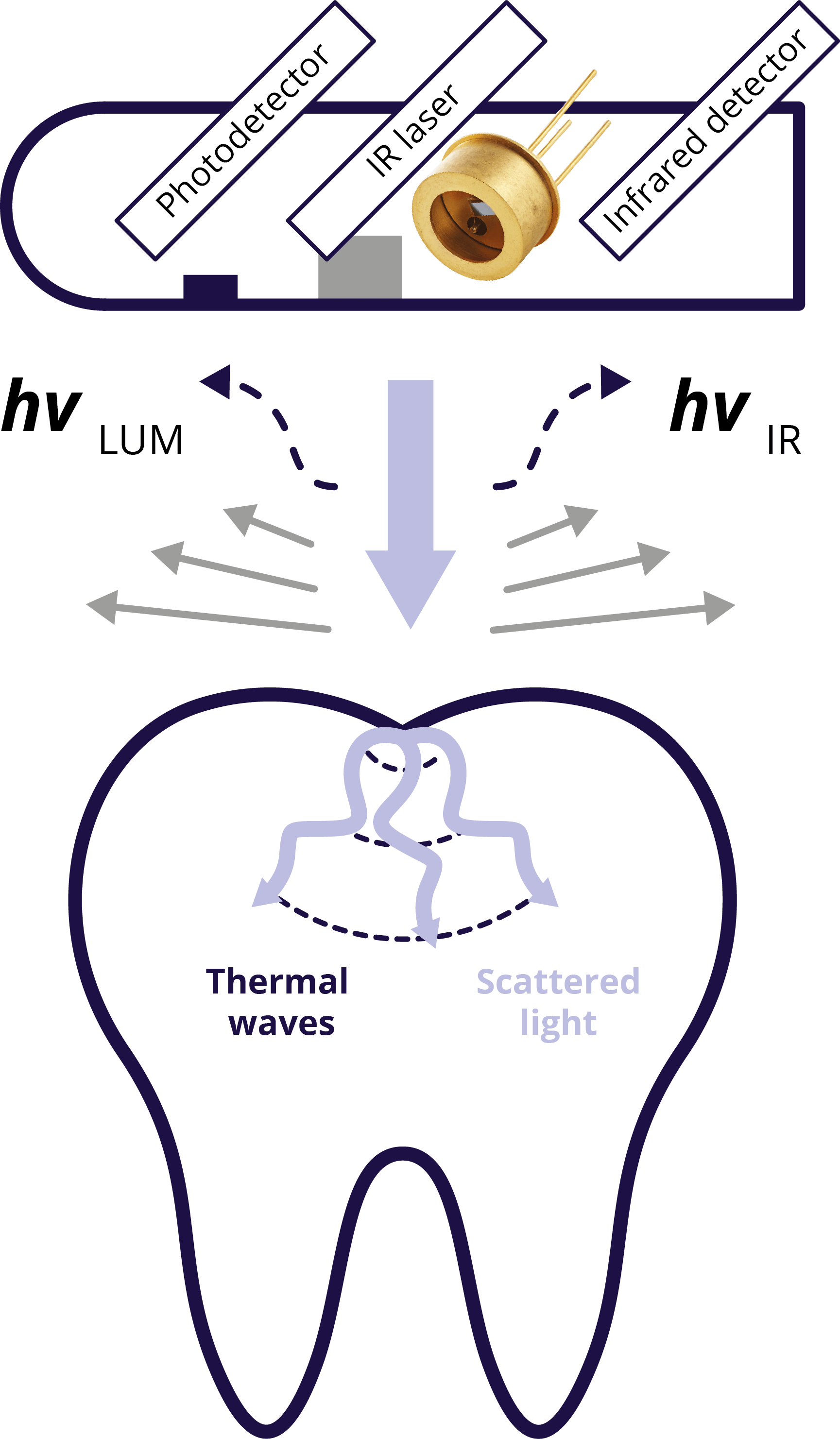 https://vigophotonics.com/app/uploads/2022/06/VIGO_GRAFIKI_MEDICAL-APPLICATION_6-05.png